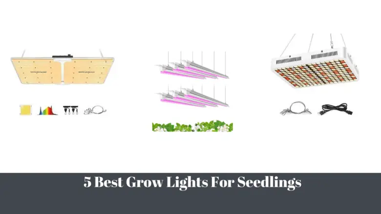 5 Best Grow Lights For Seedlings