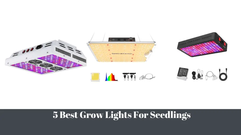 5 Best Grow Lights For Vegetables Canada