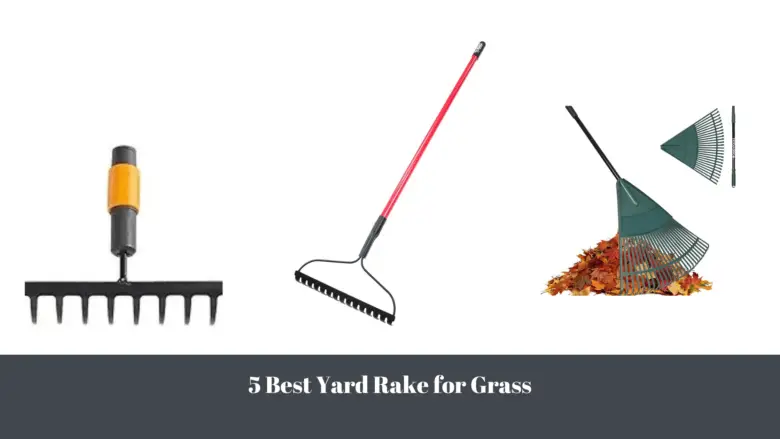 Best Yard Rake for Grass