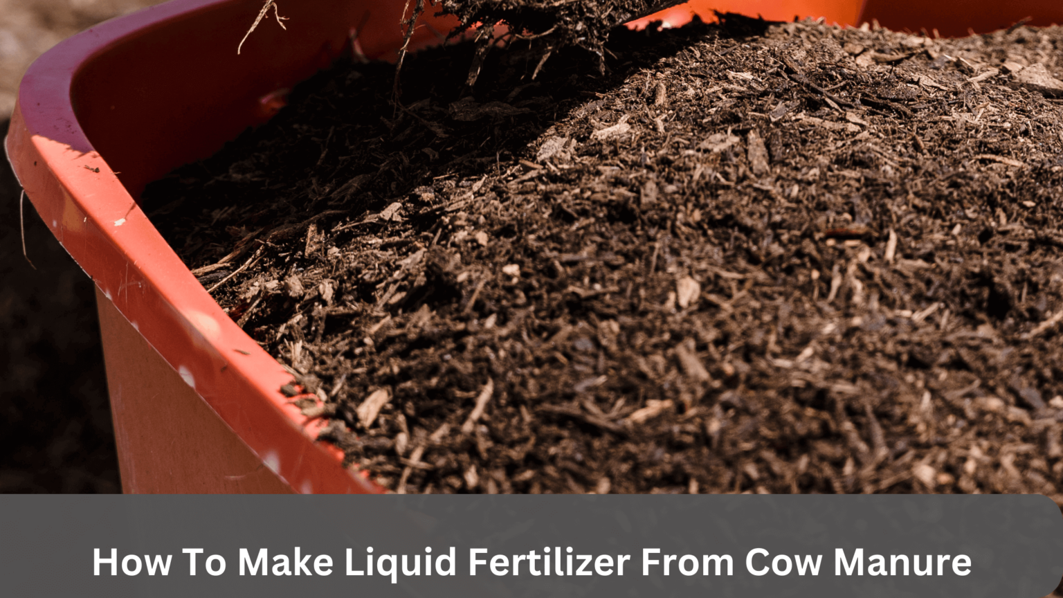 How To Make Liquid Fertilizer From Cow Manure gardener Learn Gardening, Composting, And