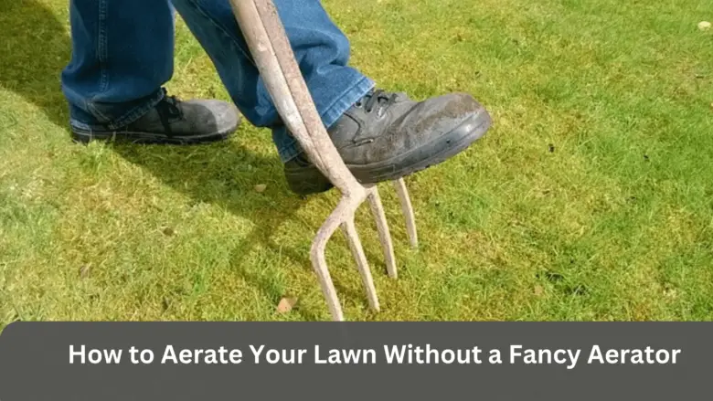 How to Aerate Your Lawn Without a Fancy Aerator
