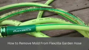 How to Remove Mold From Flexzilla Garden Hose