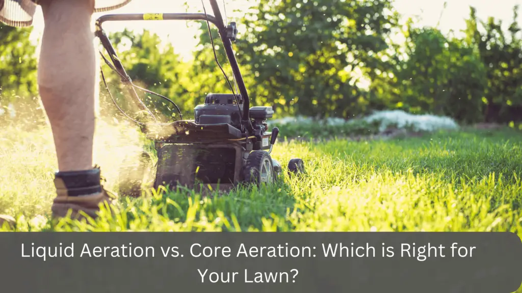 Liquid Aeration vs. Core Aeration Which is Right for Your Lawn?