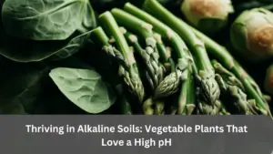 Best Vegetable Plants That Like Alkaline Soil
