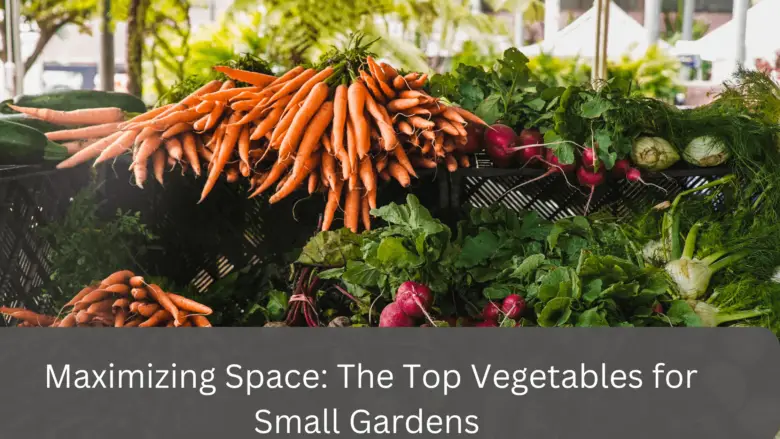 The Top Vegetables for Small Gardens: Maximizing Space