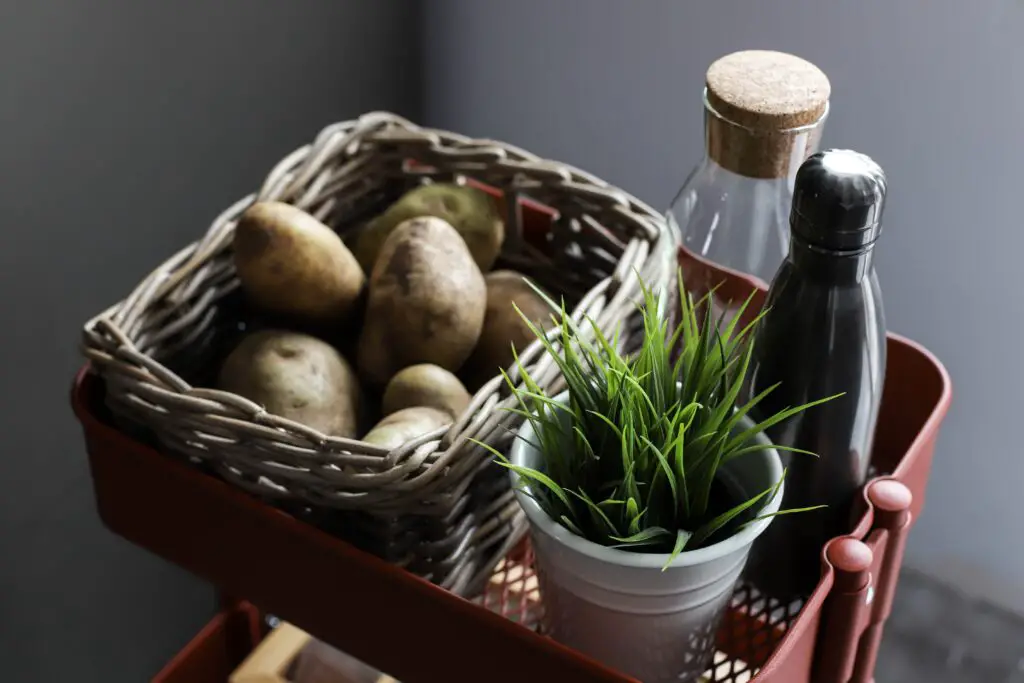 potatoes in a basket next to a plant, how to use potato peels for plants