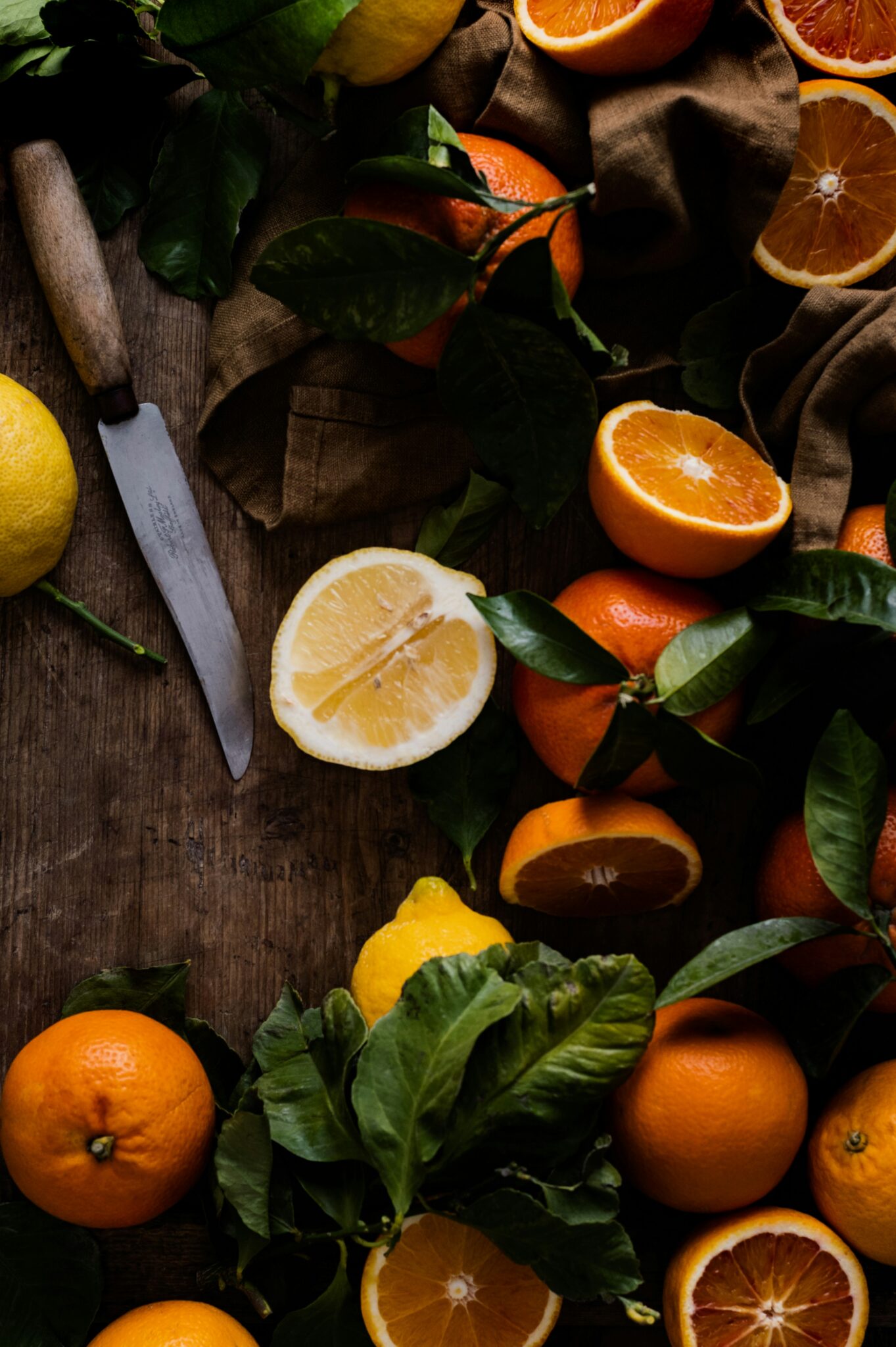 Can You Put Citrus in Compost? Debunking Myths