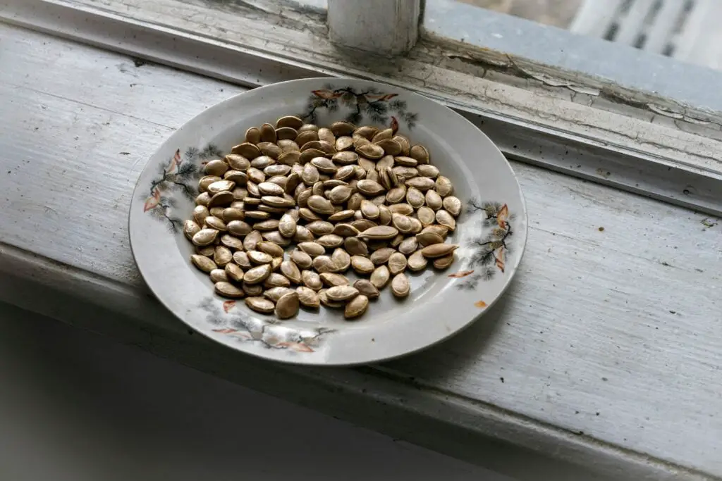 seeds on a plate, collecting seeds off the ground